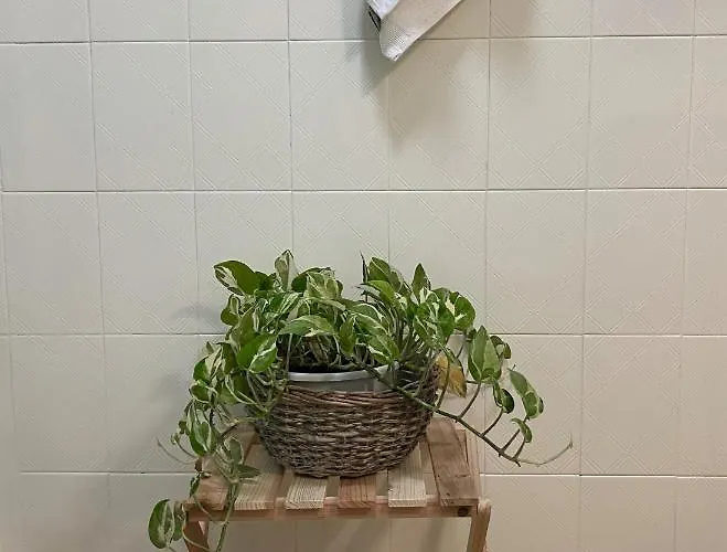 Appartement Natalia *